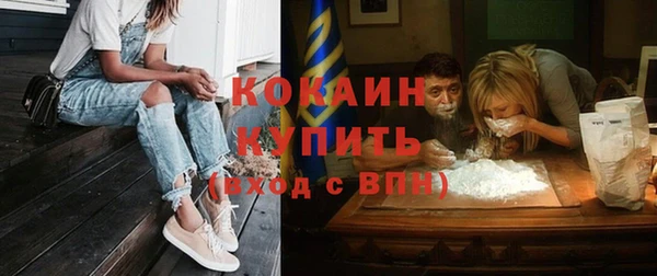 дмт Белокуриха