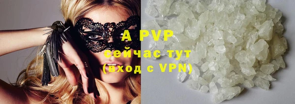дмт Белокуриха