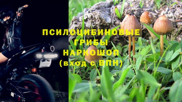 дмт Белокуриха