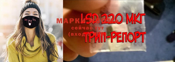 дживик Беломорск