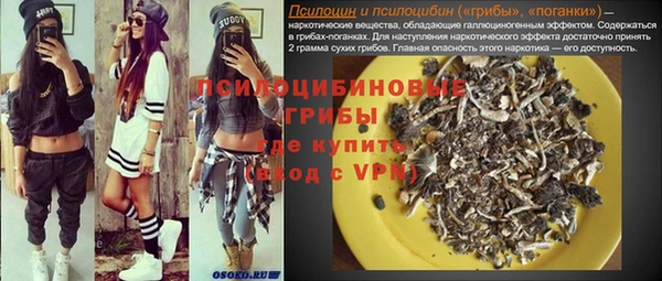 крисы Белоозёрский