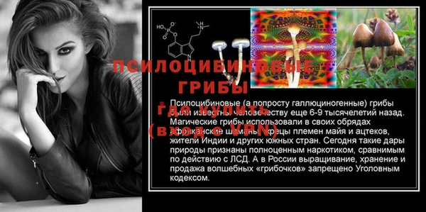 крисы Белоозёрский