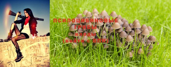крисы Белоозёрский