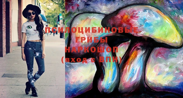 крисы Белоозёрский