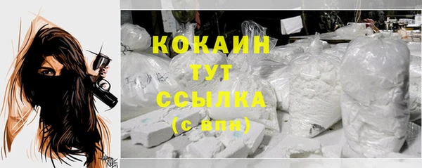 дживик Беломорск