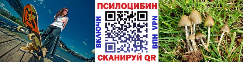 Псилоцибиновые грибы Cubensis Купить закладки Анива