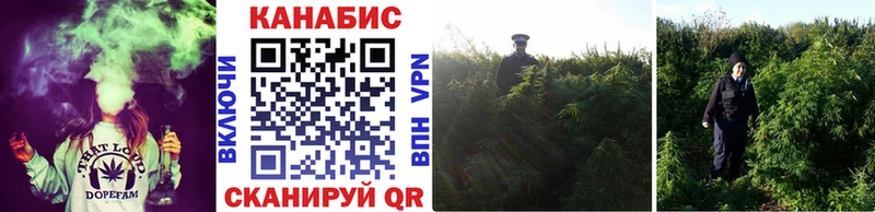 Купить где  Анива  Бошки марихуана MAZAR 